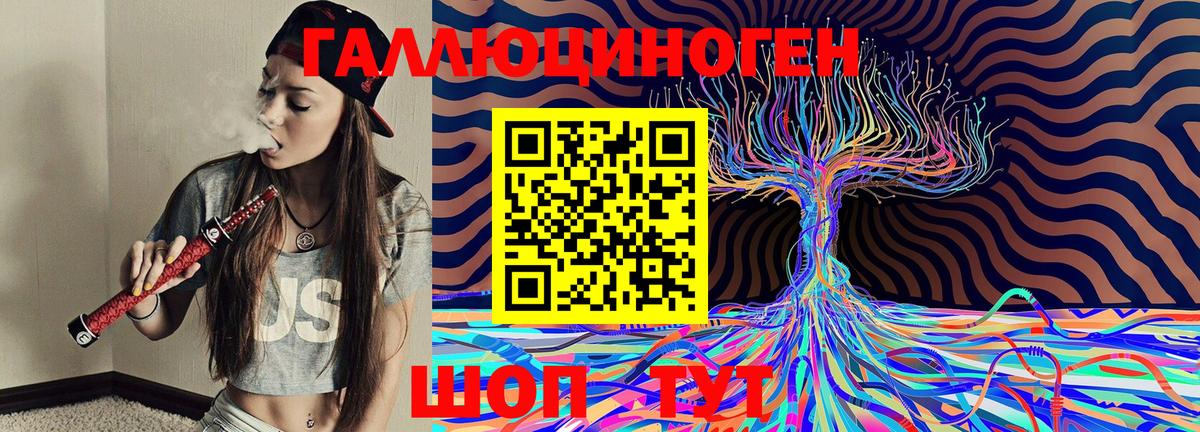 Псилоцибиновые грибы Cubensis Кыштым