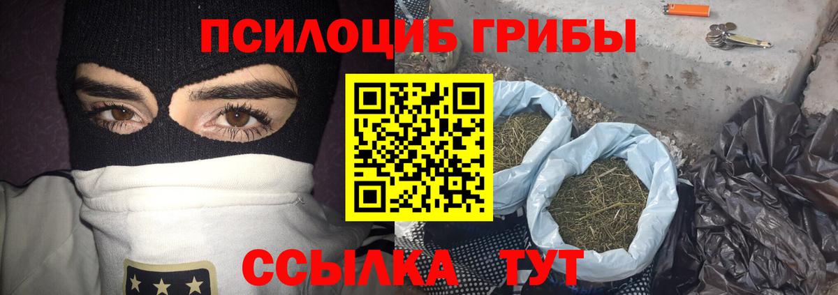 Кыштым  Галлюциногенные грибы Magic Shrooms  Вход с VPN 